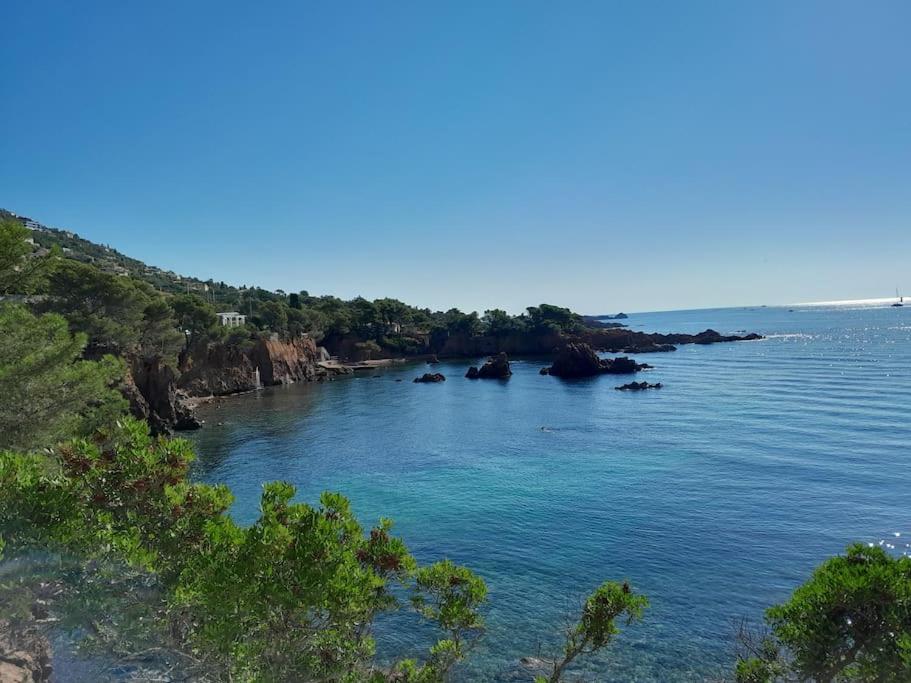 Charmant Studio Lumineux Avec Parking Prive Saint-Raphaël Kültér fotó