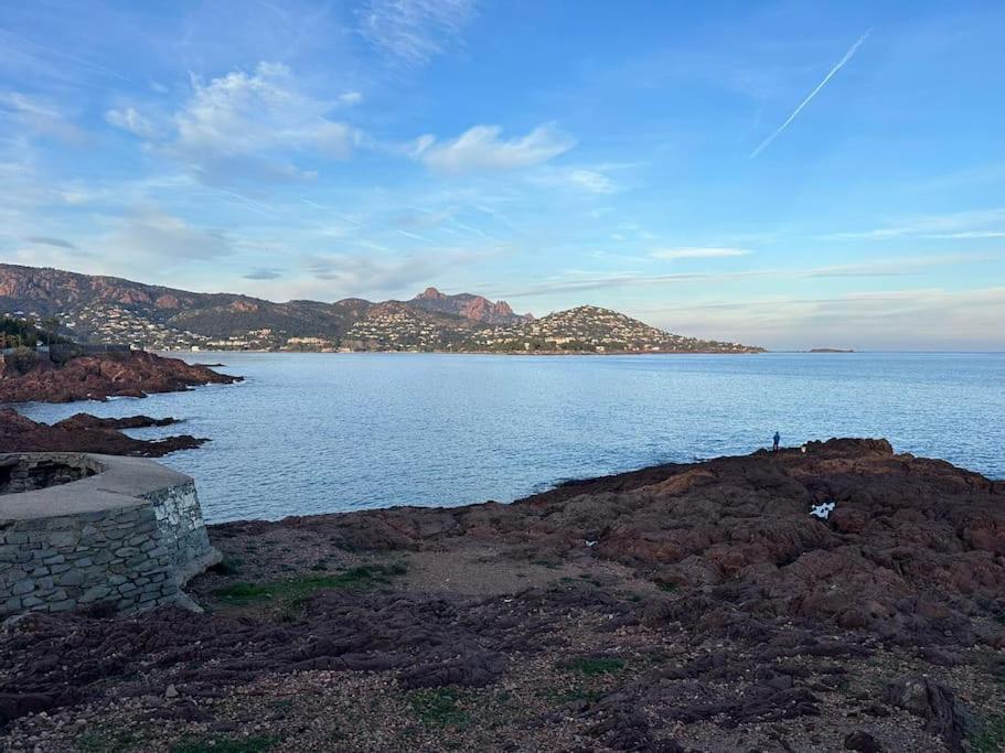 Charmant Studio Lumineux Avec Parking Prive Saint-Raphaël Kültér fotó