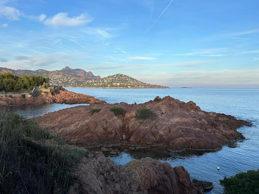 Charmant Studio Lumineux Avec Parking Prive Saint-Raphaël Kültér fotó